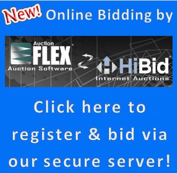 Online Bidding